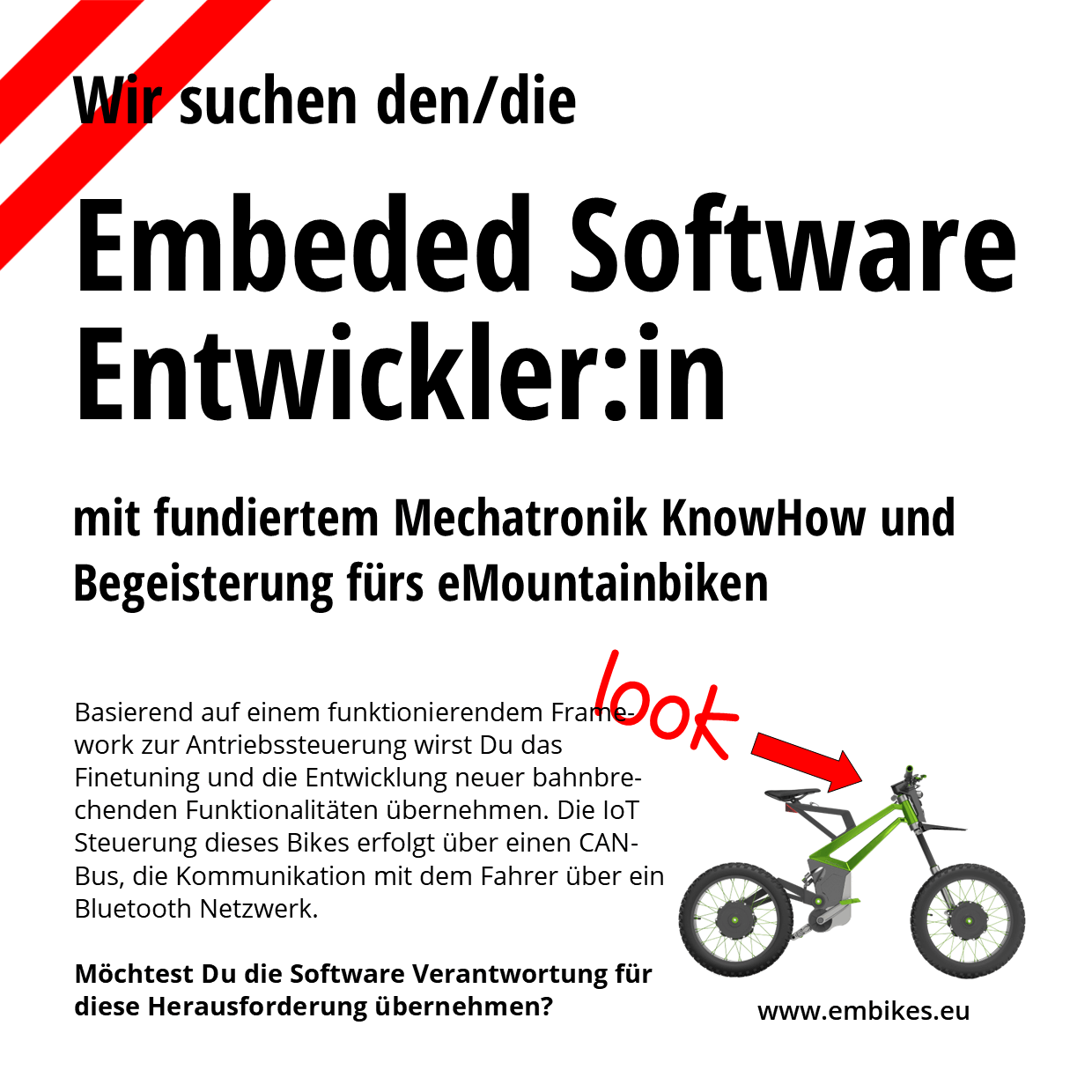 embeded Software Entwickler
